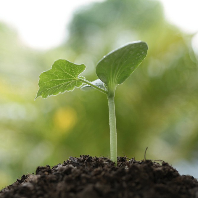 L’Accompagnement sur mesure